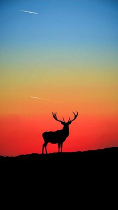 the silhouette of a deer in front of an orange and blue sky