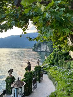 an outdoor gazebo next to the water with trees and bushes growing on it's sides