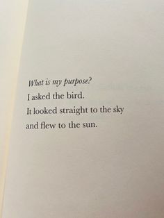 an open book with the words what is my purpose? i asked the bird it looked straight to the sky and flew to the sun