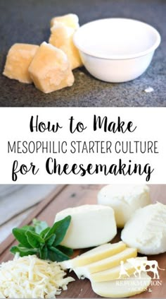 how to make mesophiic starter culture for cheesemaking with text overlay