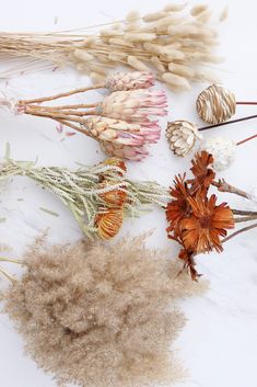 dried flowers and other plants on a white table top with some brown stuff in the middle