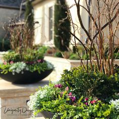 two large planters filled with different types of flowers and plants in front of a house