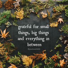 a quote written on a blackboard surrounded by autumn leaves and pineconuts with the words grateful for small things, big things and everything in between