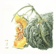 a painting of some kind of fruit and vegetables