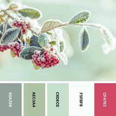 the color scheme is red, green, and gray with white flowers on it's branches