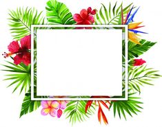 a square frame with tropical flowers and palm leaves on the bottom, in front of a white background