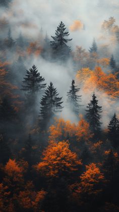 Landscape Fall Wallpaper, Fall Mountain Wallpaper, Autumn Wallpaper Iphone Cozy, Vintage Fall Wallpaper Iphone, Fall Iphone Wallpaper Rustic, Fall Winter Wallpaper, Atmospheric Aesthetic, Nordic Wallpaper, Wallpapers Fall