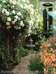 a garden filled with lots of flowers and greenery