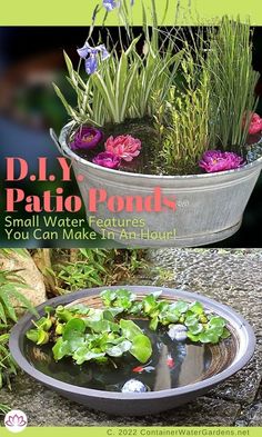 the cover of d i y patio pond's small water features, you can make a fish bowl