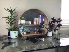 a shelf with some plants and vases on it