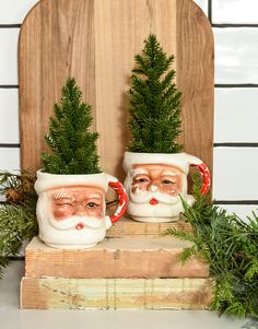 two mugs with faces on them are sitting next to some evergreen branches and pine cones