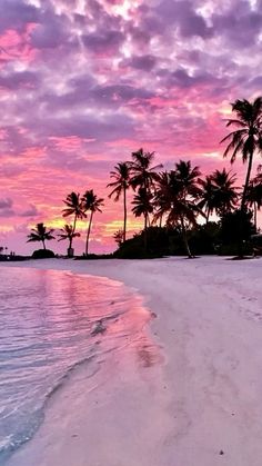 a beach with palm trees and water at sunset