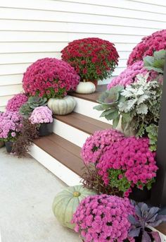 colorful flowers are growing on the steps in front of a house with pumpkins and other plants