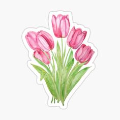 pink tulips sticker on white background