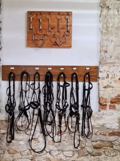 there are many different types of horse bridles hanging on the wall