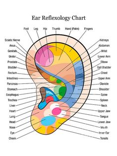 Home Health Remedies, Acupressure Points