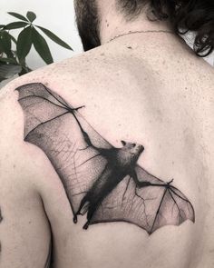 a man with a bat tattoo on his back