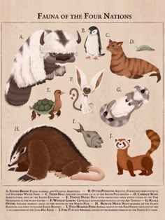 an animal poster with different types of animals on it's back side and the words fauna of the four nations