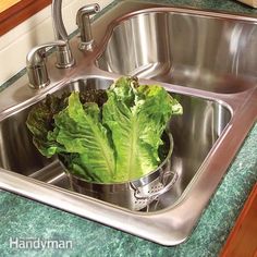 some lettuce in a stainless steel sink