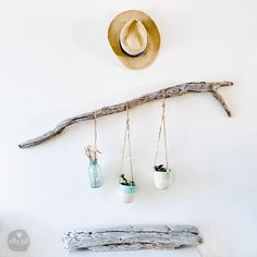 three hanging planters with plants in them on a branch next to a wall mounted hat