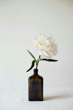 a single white flower in a brown glass vase on a white tableclothed surface