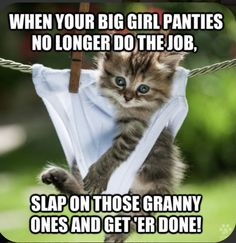 a kitten hanging from a clothes line with the caption when your big girl panties no longer do the job, slap on those granny ones and get er done