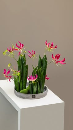 some pink flowers are in a metal bowl on a white table and gray wall behind them