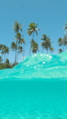 an ocean view with palm trees in the background and clear blue water beneath it,