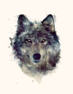 a wolf's head is shown with watercolor paint splattered on it