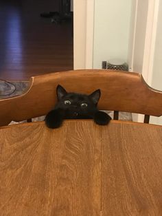 a black cat sitting on top of a wooden chair next to a table and door