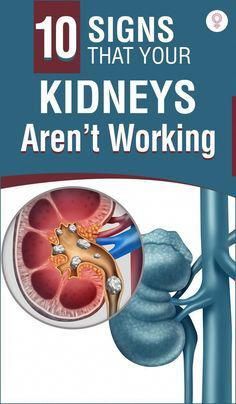 Located on either side of your body, your kidneys work 24x7 to ensure that you can stay in the prime of your health all the time. But if you’re not careful Health, 10 Things