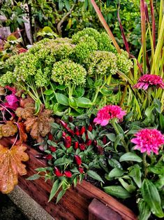 a garden filled with lots of different types of flowers