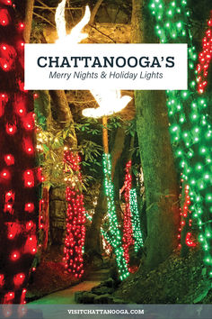 the cover of chatanooga's merry nights and holiday lights, featuring lighted trees