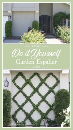 the front door to a house that has hedges growing on it and an advertisement for do it yourself garden espalierr