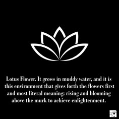 lotus flower grows in muddy water, and is this environment that gives forth the flowers first and most aerial meaning rising and blooming above the mark