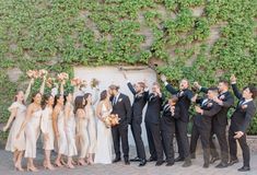 a group of people standing next to each other in front of a wall with ivy growing on it