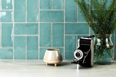 an old camera sitting next to a vase with some plants in it