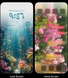 an iphone screen showing the underwater scene with flowers and sunlight coming out from behind it