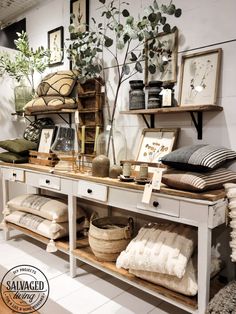 a store display with lots of items on the shelves and in front of it is a potted plant