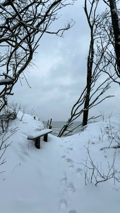 Cinematography Aesthetic, Beach Trees, Snowy Forest, Seaside Beach