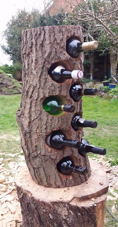 a tree stump with several wine bottles in it