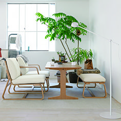 a living room filled with furniture and a potted plant on top of a table