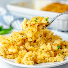 a fork full of macaroni and cheese is being lifted from a white plate