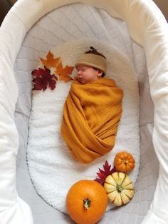 a newborn baby wrapped in a blanket surrounded by fall leaves and pumpkins