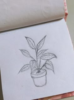 a pencil drawing of a potted plant on top of a piece of white paper