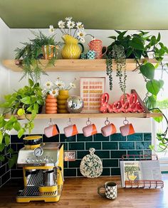 some plants are sitting on top of shelves