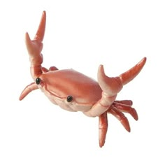 an orange crab with two black eyes on it's back legs and one leg