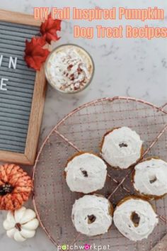 pumpkin spice dog treat recipe on a wire rack