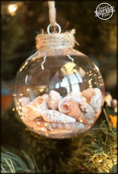 an ornament hanging from a christmas tree filled with seashells and starfish