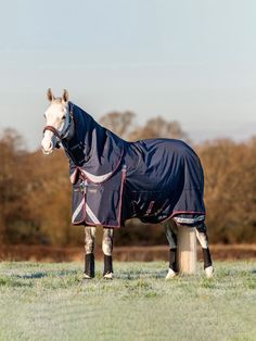 a horse wearing a blanket standing on top of a lush green field with trees in the background